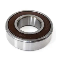 LAAKERI 6009 2RS C3-NSK